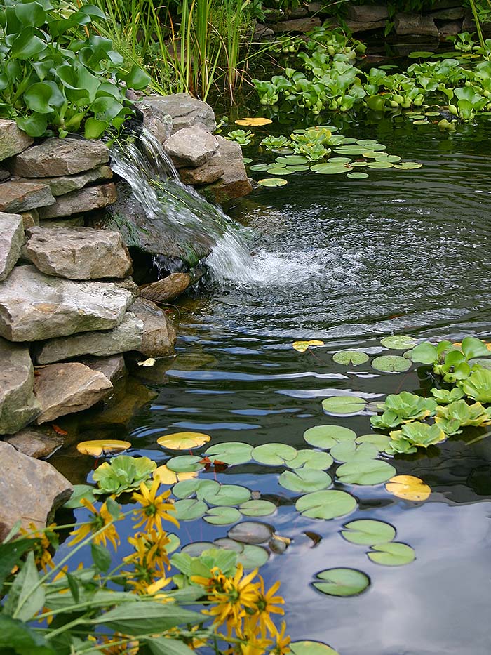 Bültermann Gartenbau & Dachbegrünung